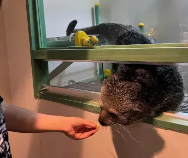 Rare ZOO の動物たち