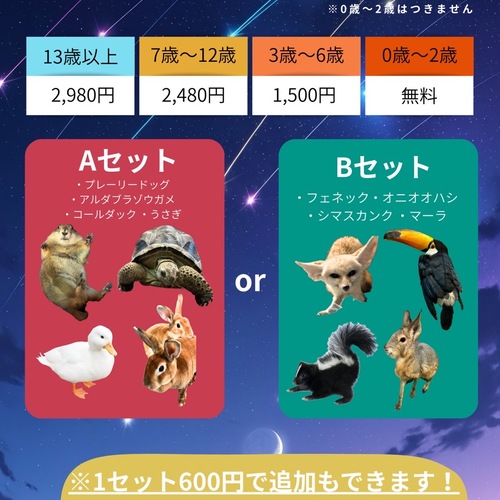 【Rare ZOOの環境変えと料金改定のお知らせ】