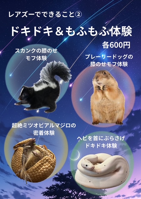【Rare ZOOの環境変えと料金改定のお知らせ】