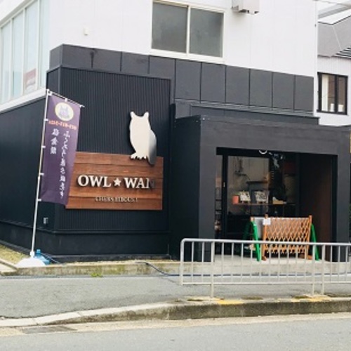 アウルワン（OWL☆WAN）総合スタッフ（正社員）　募集