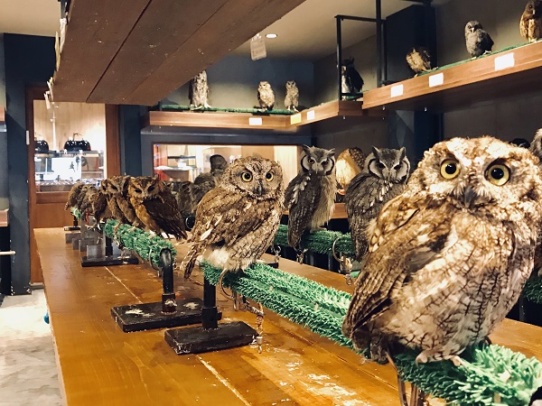 アウルワン（OWL☆WAN）総合スタッフ（正社員）　募集