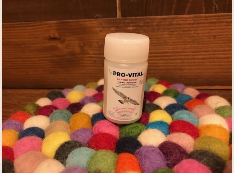 ☆お試し用☆　RAPTOR　BOOST