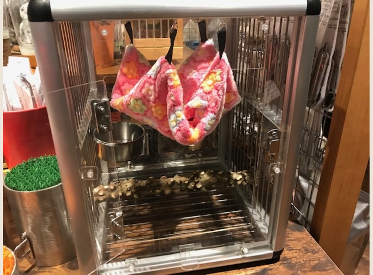 数量限定！！アクリルケージ