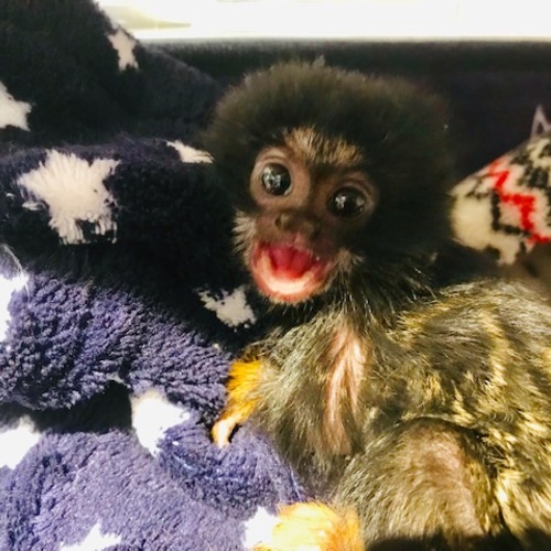 GWの営業時間のお知らせ