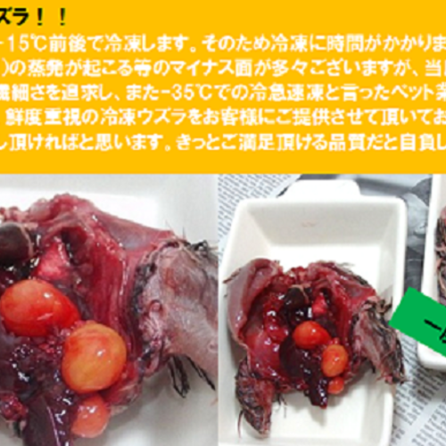 ☆-35℃急速冷凍ウズラ（処理済）の値上げのお知らせ（2019年）