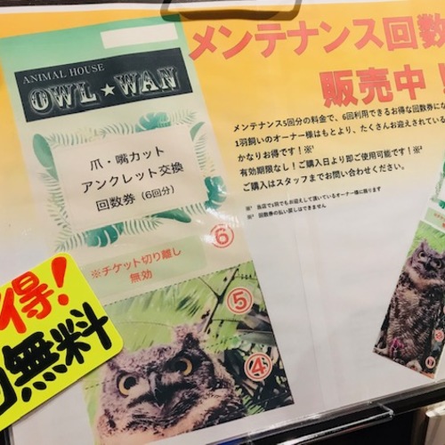 メンテナンス＆冷凍エサ・グッズの割引セール♪