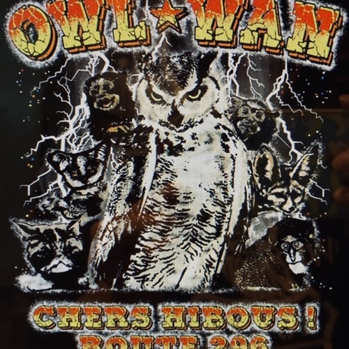 新春4日スタート（10周年記念企画）