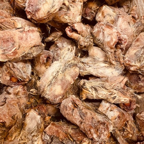 ショウガラゴ 販売中 Owl Wan公式ブログ 関西 大阪でフクロウ ふくろう など珍しいペットの専門店アウルワン