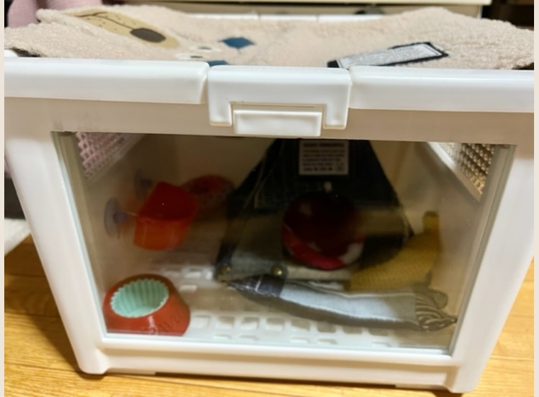 Tofu　BOX
