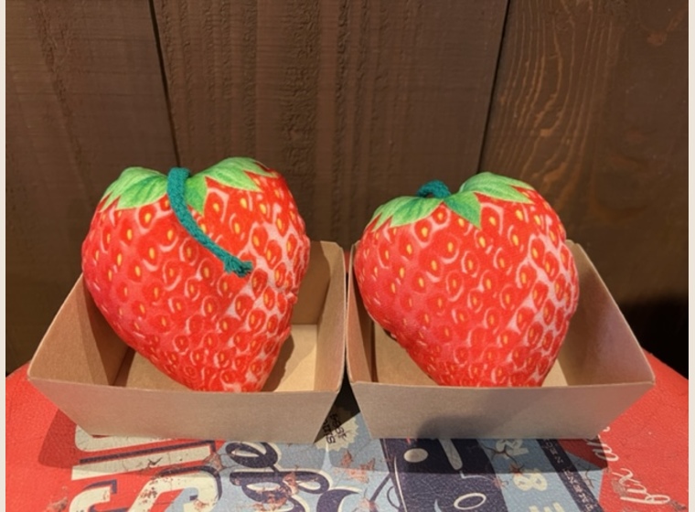 リアルイチゴ　ヒモ付き