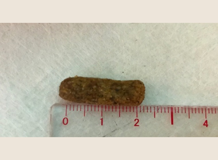 Mazuri ニューワールドプライメイトダイエット　　11.3kg