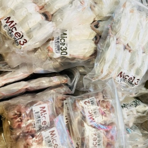 冷凍餌 全般に値上げとなります