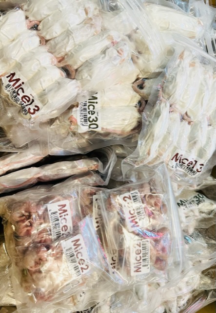 冷凍餌 全般に値上げとなります