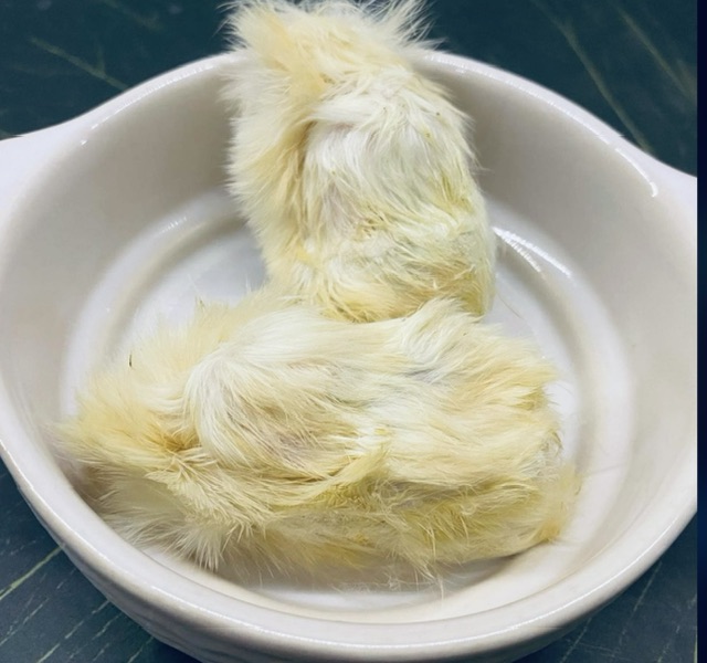 冷凍餌 全般に値上げとなります