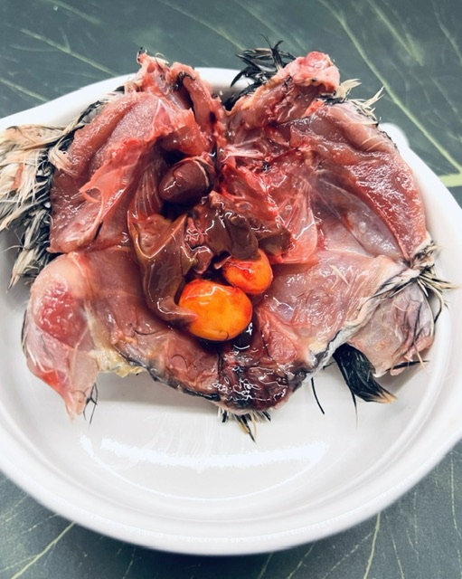 冷凍餌 全般に値上げとなります