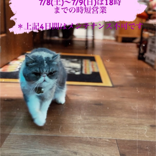 時短・トリミング不可のお知らせ