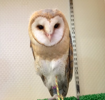 10/7　16時以降はメンテナンス不可m(__)m