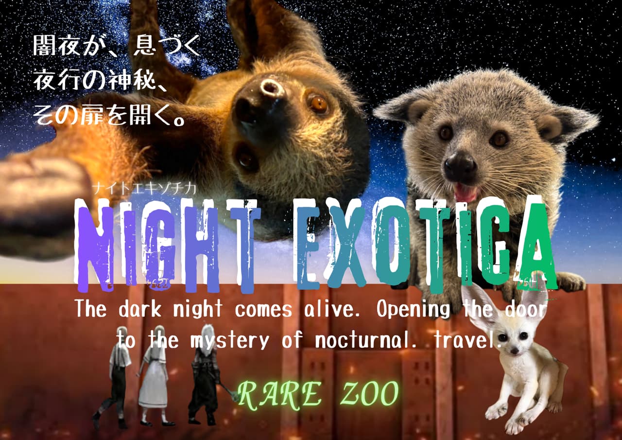 ナイトエキゾチカ
