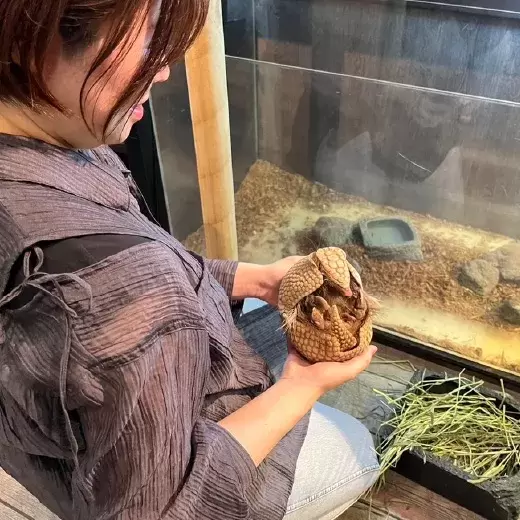 Rare ZOO｜大阪・心斎橋の小さな動物園｜珍しい動物とのふれあい｜販売