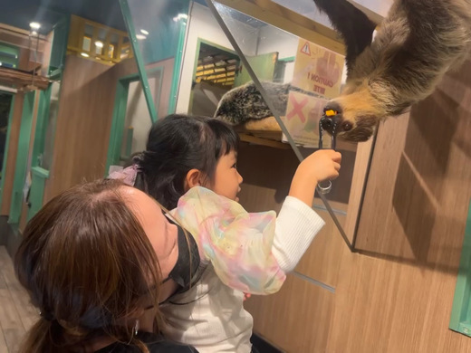 Rare ZOO｜大阪・心斎橋の小さな動物園｜珍しい動物とのふれあい｜販売